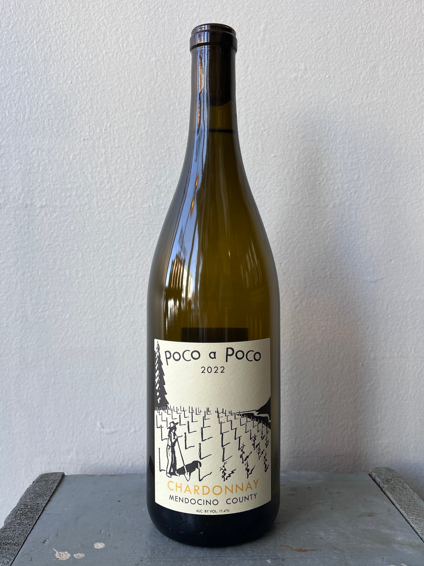 Poco a Poco, Chardonnay (2022)