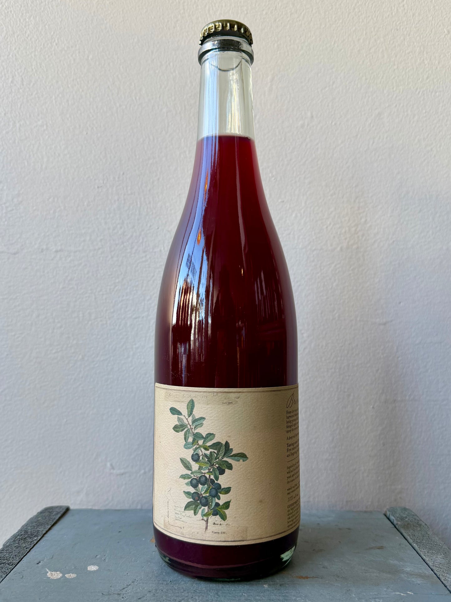 Heartsby True, Brindle (NV)