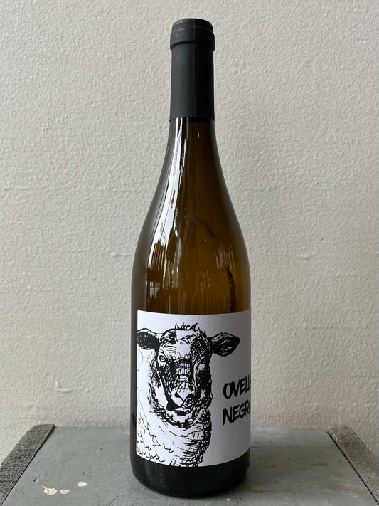 Ramon Jane, Ovella Negra (2021)