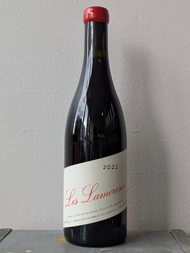 Domaine Rougeot Pere & Fils, Bourgogne Les Lameroses (2022)